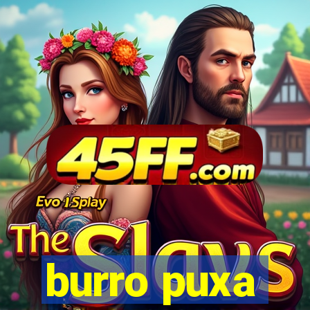 burro puxa